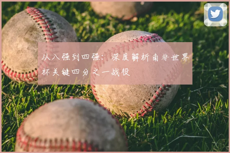 从八强到四强:深度解析南非世界杯关键四分之一战役