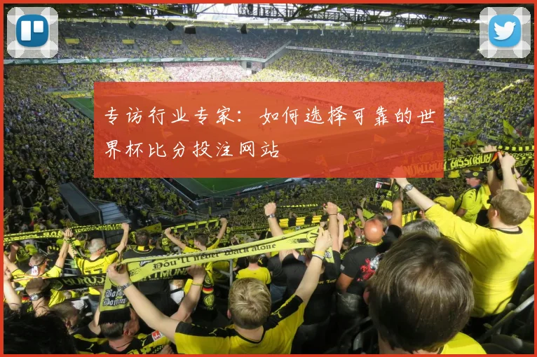 专访行业专家:如何选择可靠的世界杯比分投注网站