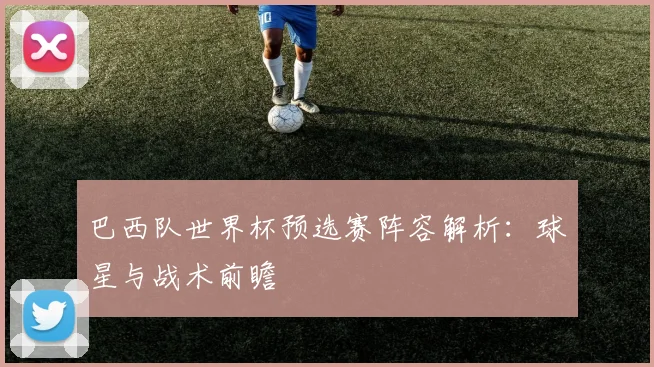 巴西队世界杯预选赛阵容解析：球星与战术前瞻