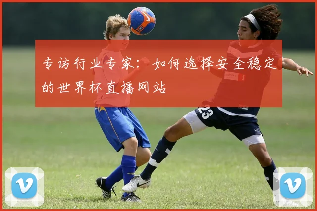 专访行业专家：如何选择安全稳定的世界杯直播网站