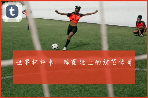 世界杯评书:绿茵场上的综艺传奇