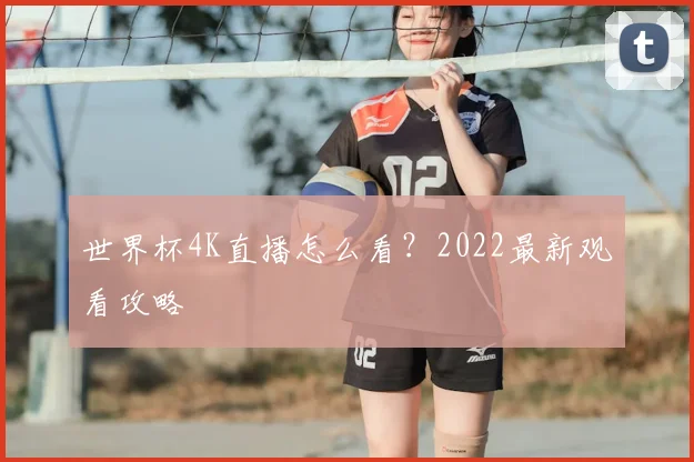 世界杯4K直播怎么看?2022最新观看攻略