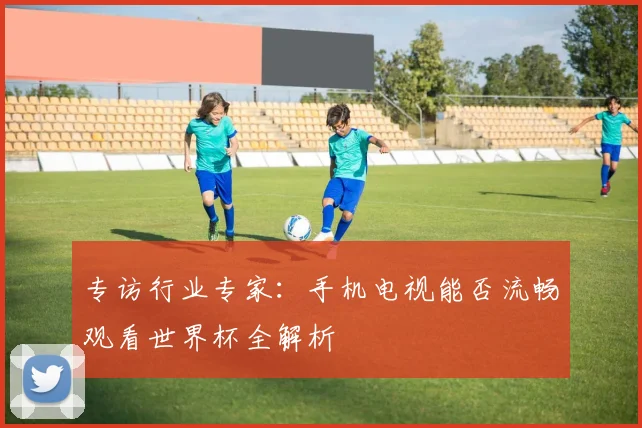 专访行业专家:手机电视能否流畅观看世界杯全解析