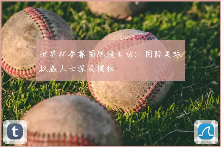 世界杯参赛国规模专访:国际足球权威人士深度揭秘