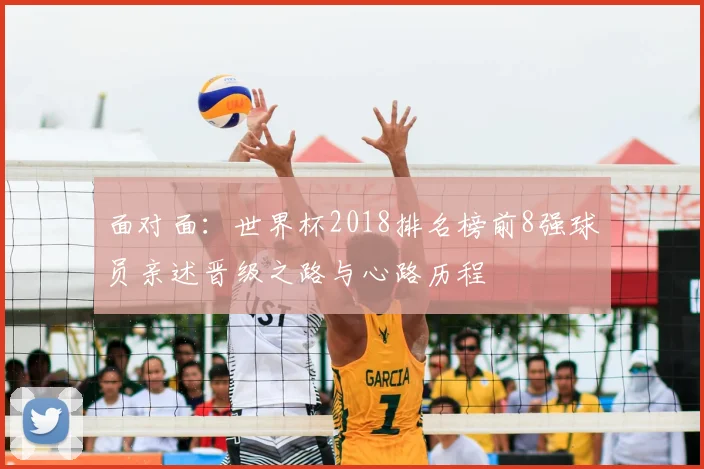 面对面：世界杯2018排名榜前8强球员亲述晋级之路与心路历程